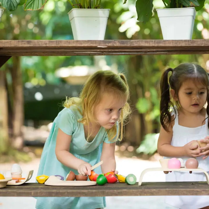 Assorted Fruit and Vegetable Wood Toy For Kids
